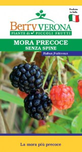 mora precoce senza spine Lochness